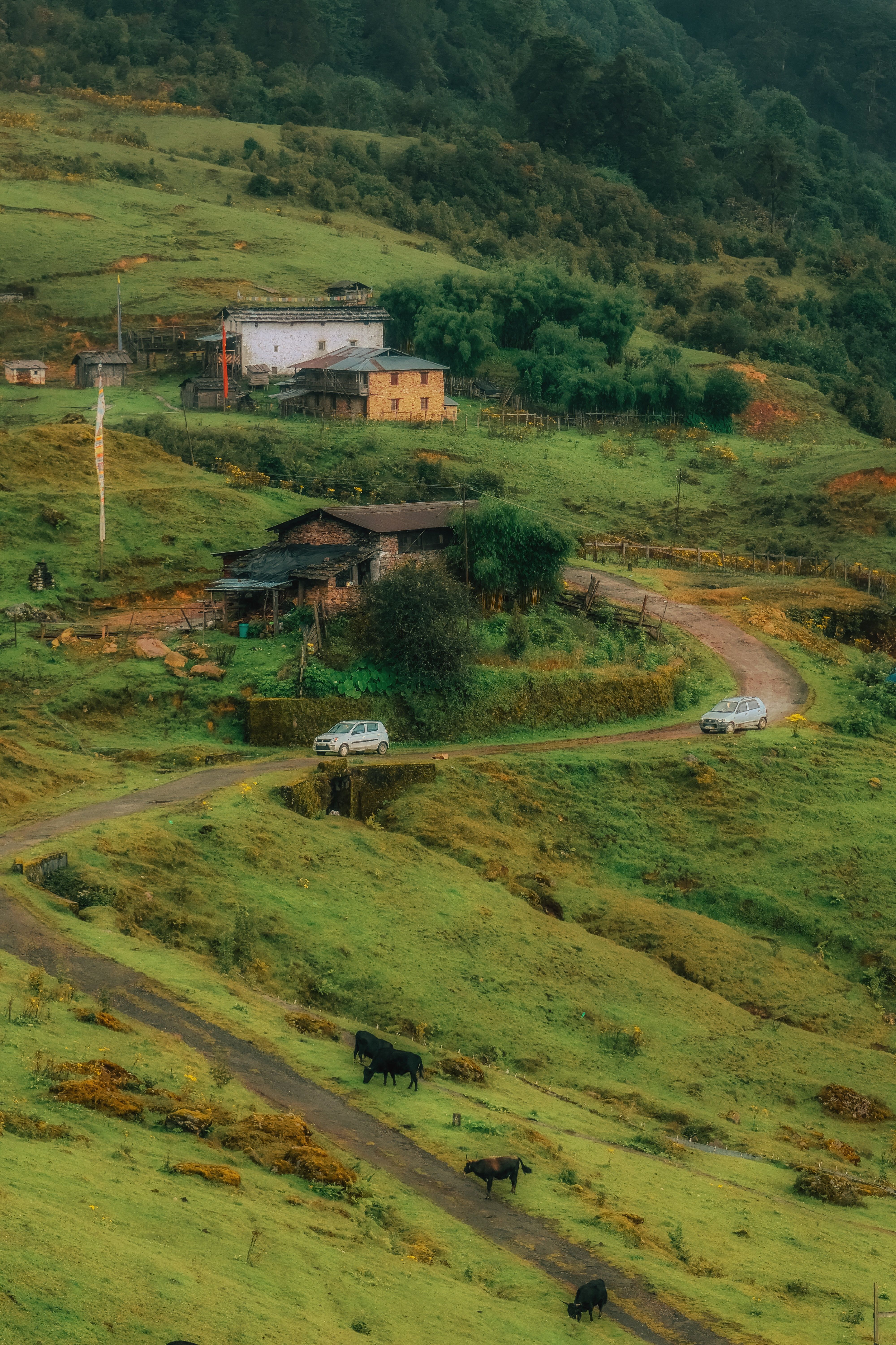Explore North Sikkim with Local Expertise