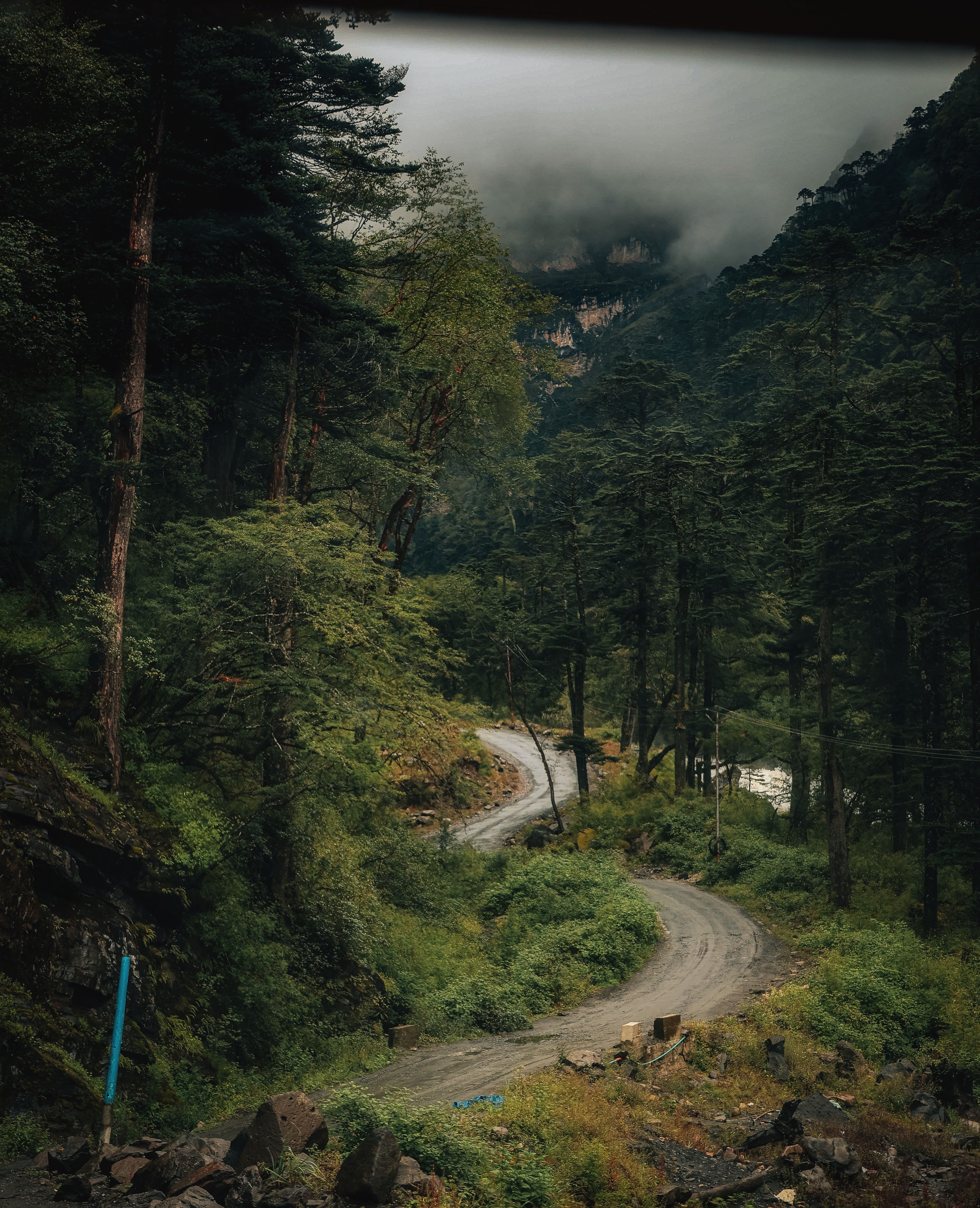 Can Thai Citizens Visit North Sikkim? A Travel Guide to Sikkim