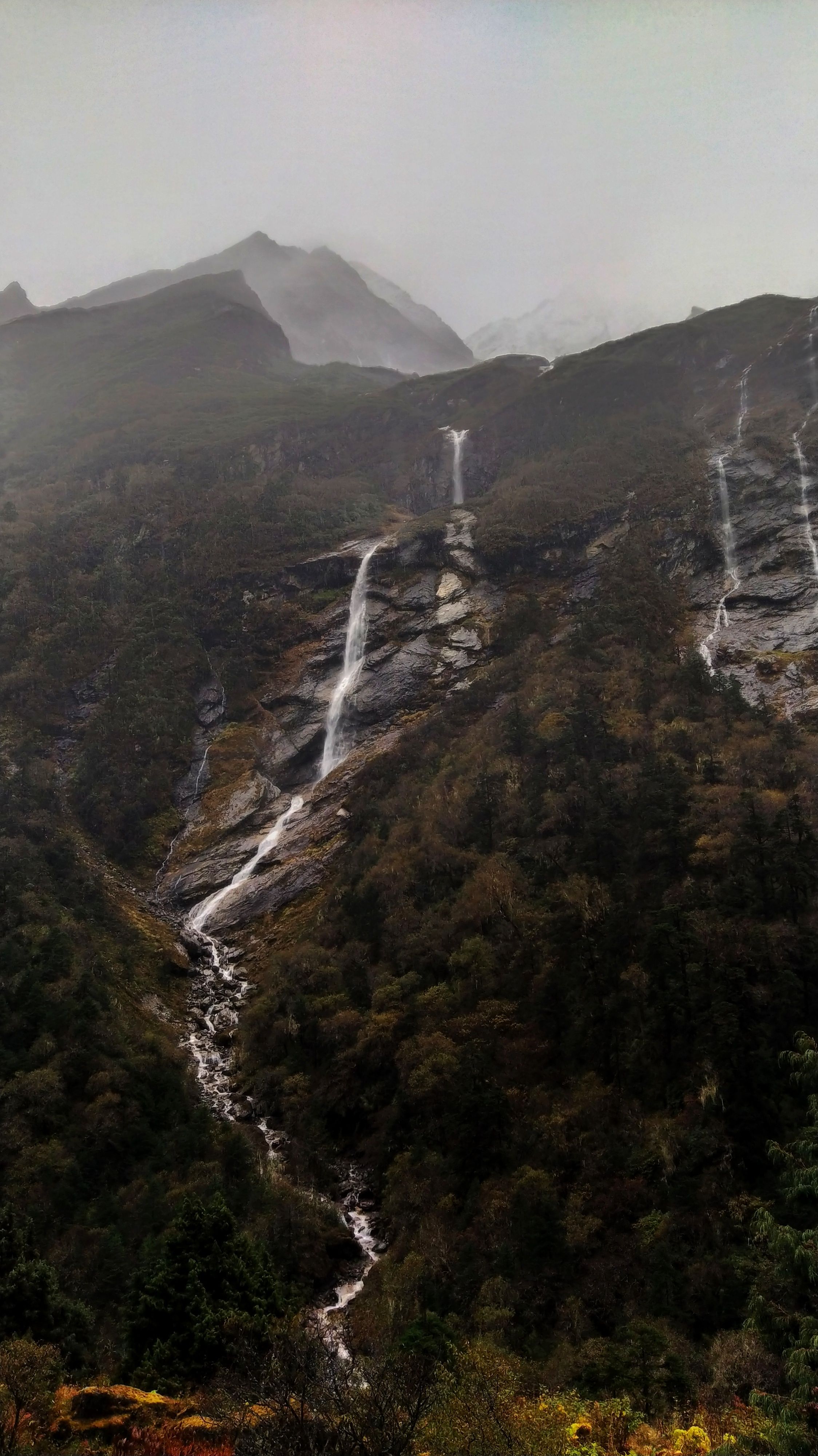 Yumthang Valley Trip from Lachung by Taxi