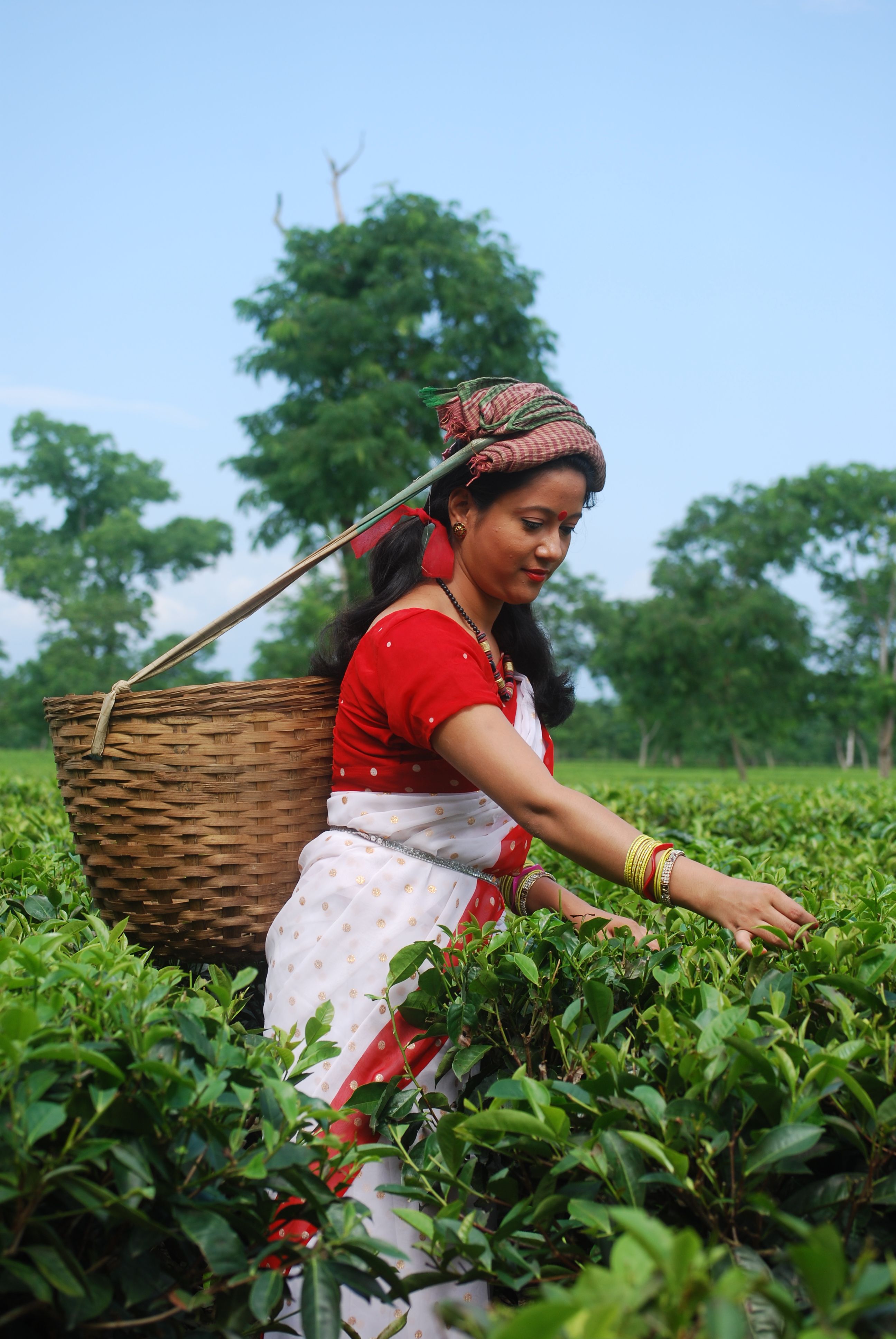 Best Time to Visit Gantok for Assam People: A Travel Guide by Tourbix Ride