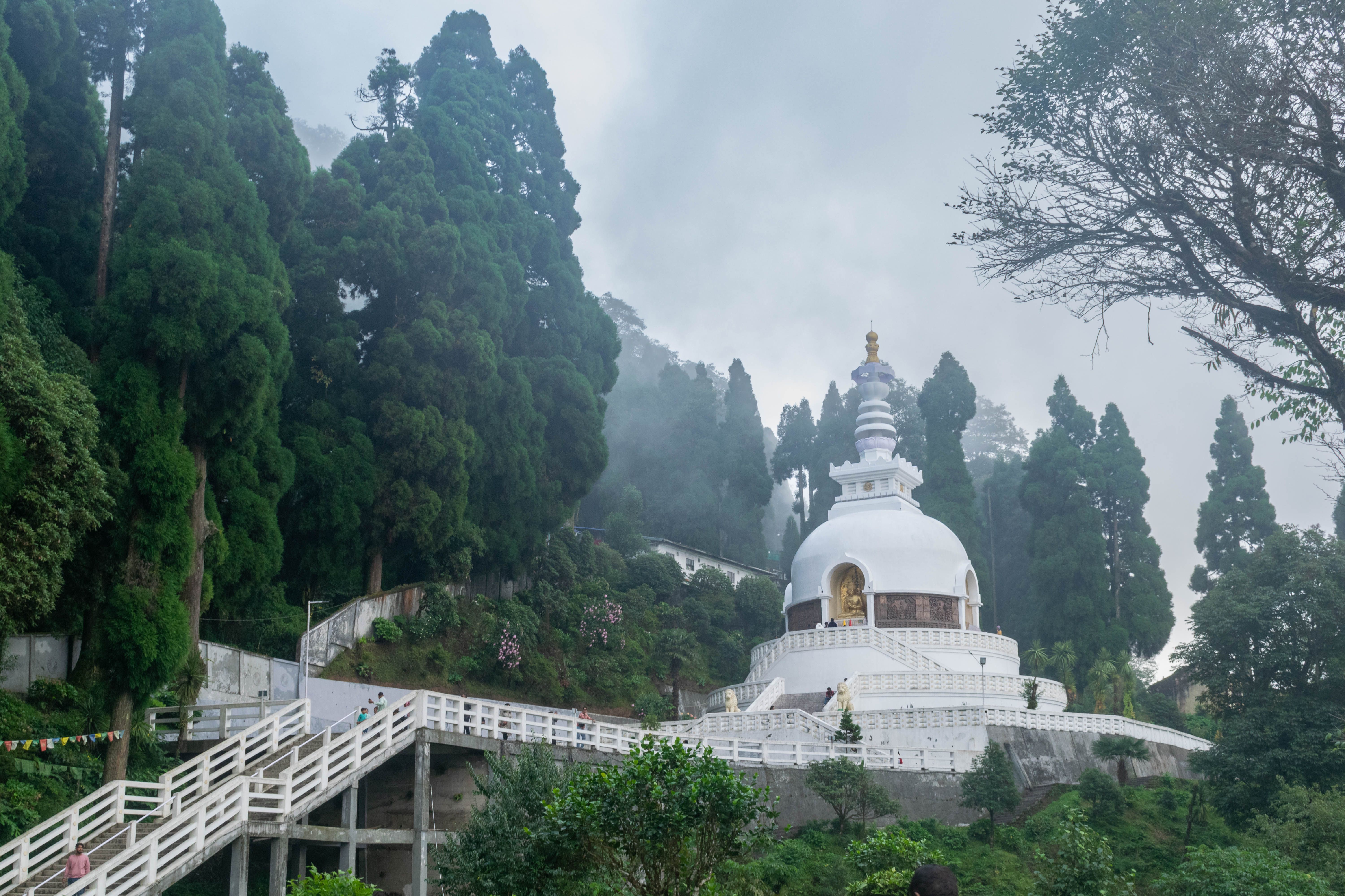 Darjeeling Taxi Costs: A Step-by-Step Guide
