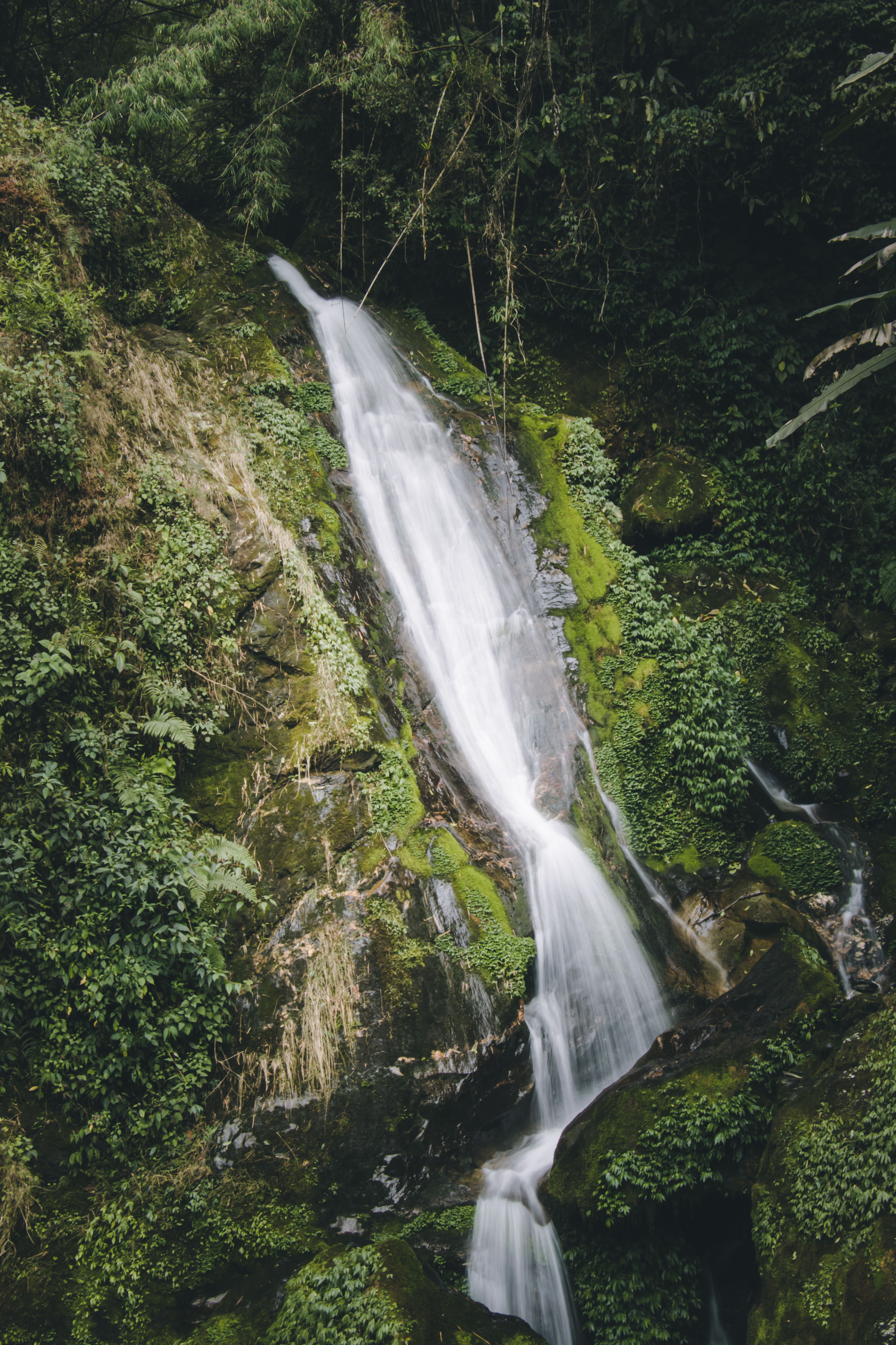 Affordable Taxi from Bagdogra to Gangtok: Unwind in Style with Tourbix Ride